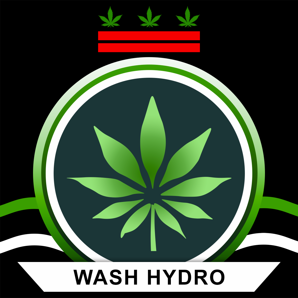 www.washhydro.com logo